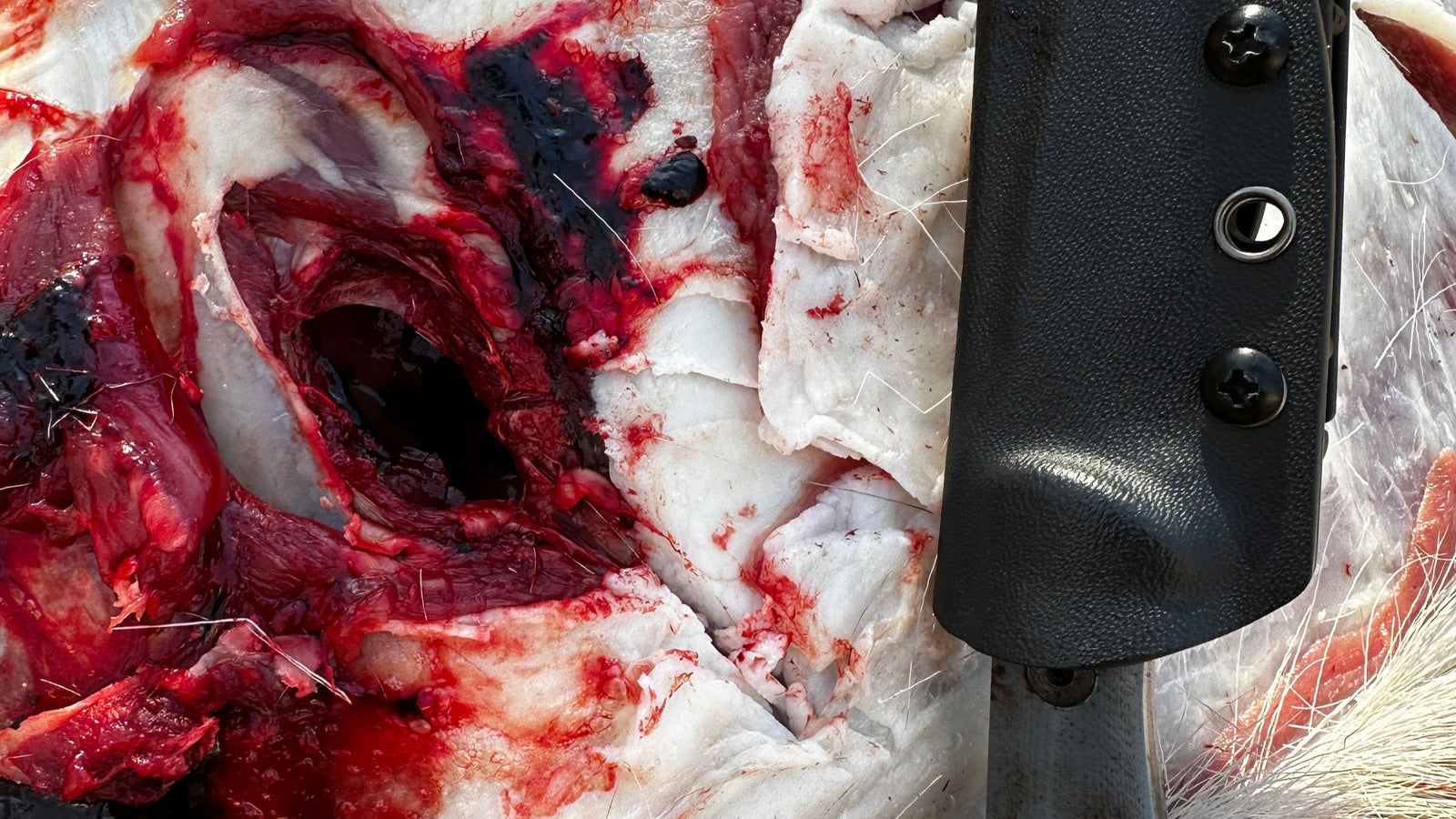 Katana 100 Grain Broadhead