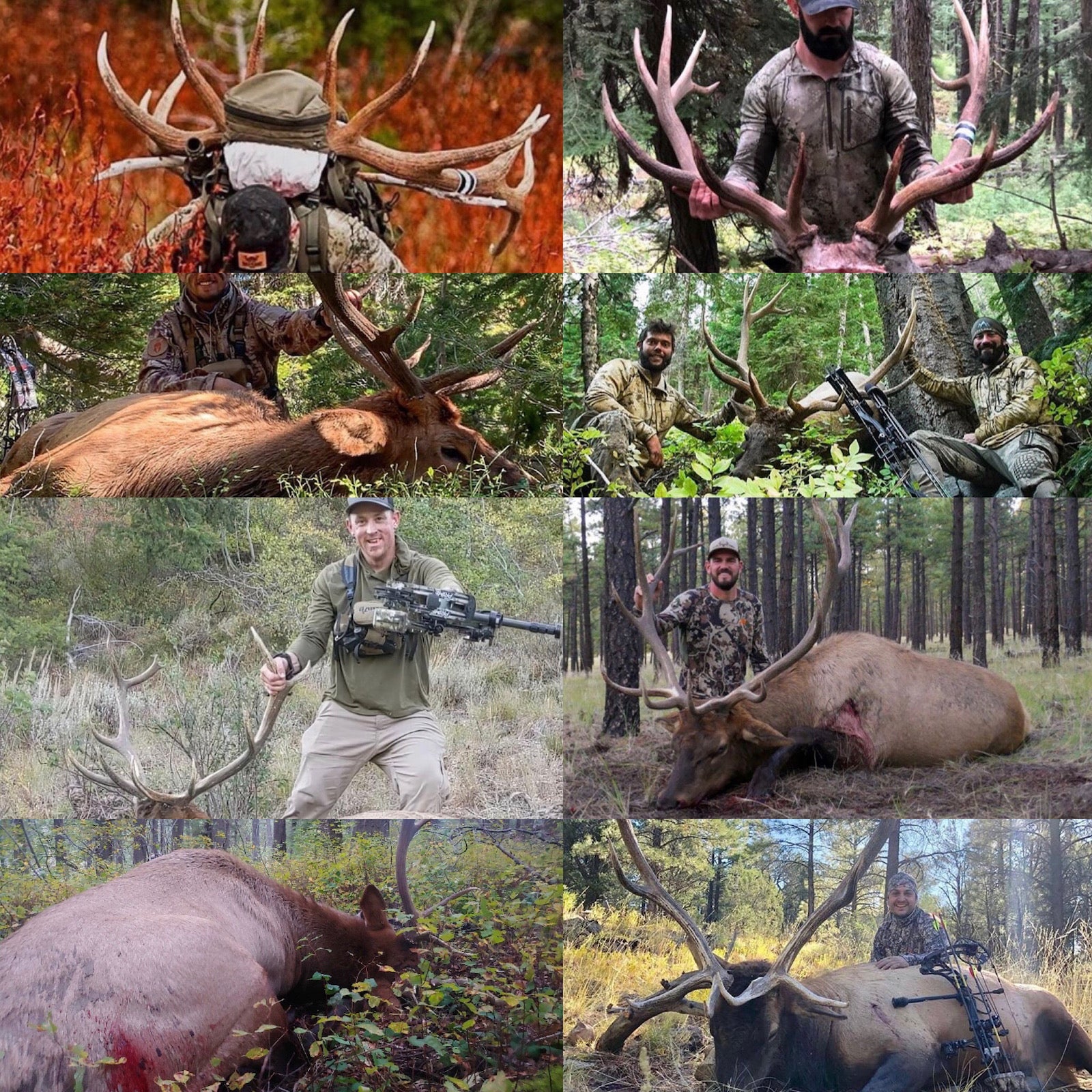 a collage of hunting pictures captured in the woods