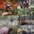 a collage of hunting pictures captured in the woods