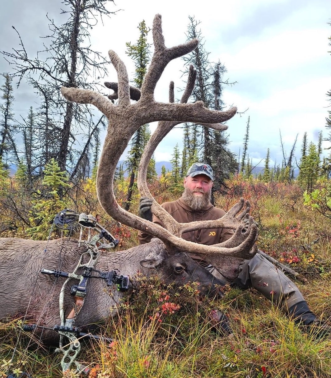 moose hunted by crossbow