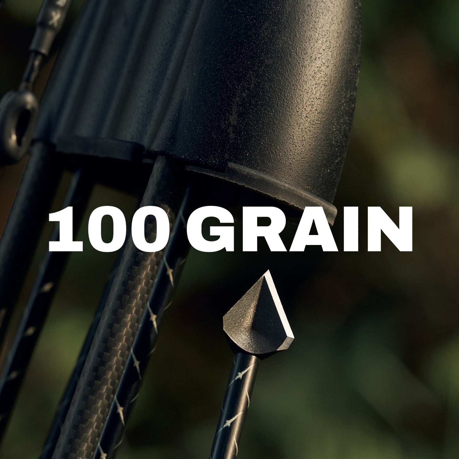 100 Grain Broadheads