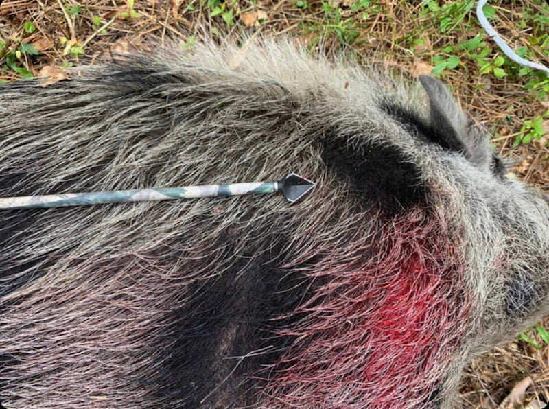 annihilator broadhead resting on animal skin