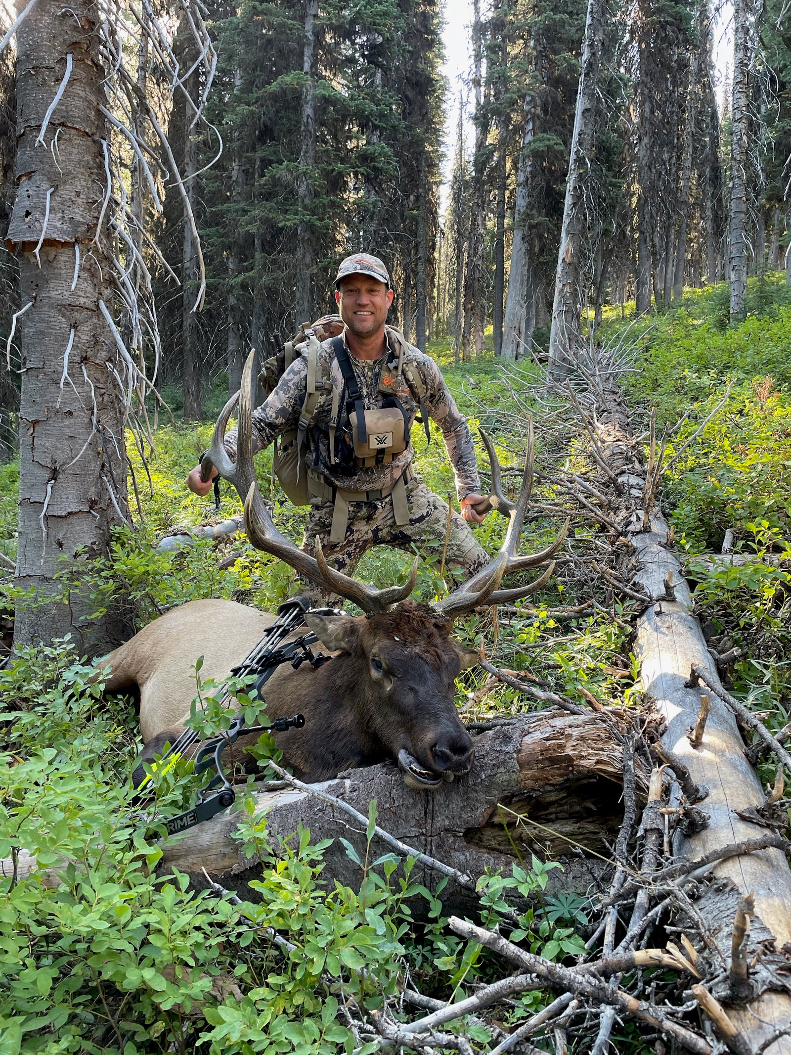 animal hunted in a forest with crossbow