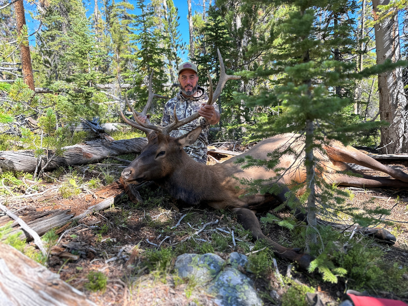 broadhead suitable for hunting in the woods