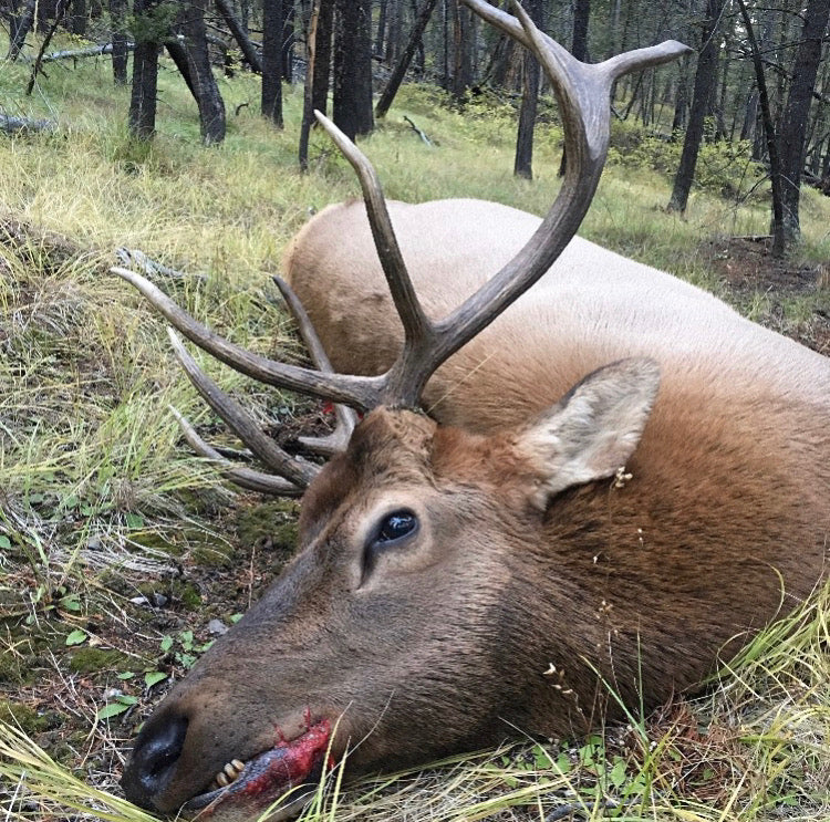 shot taken after hunting a deer